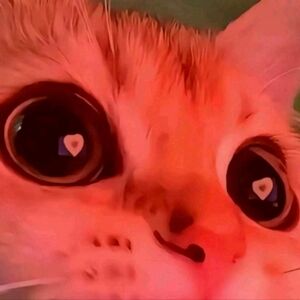 Meet your Posher, Mo